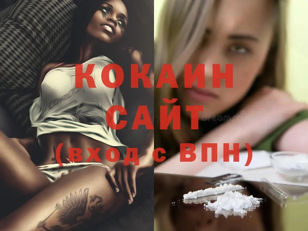 тгк Алексин