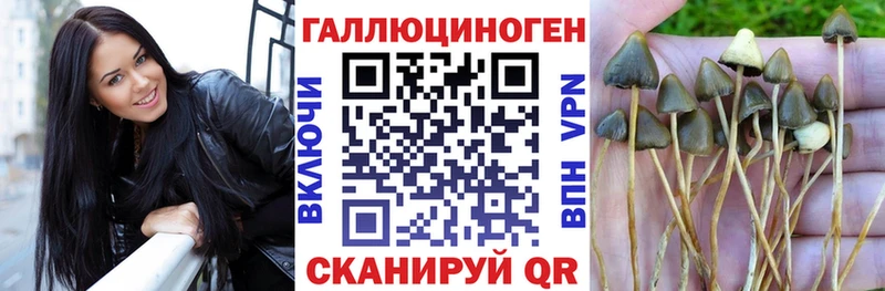 Галлюциногенные грибы мухоморы  ссылка на мегу зеркало  Александров 